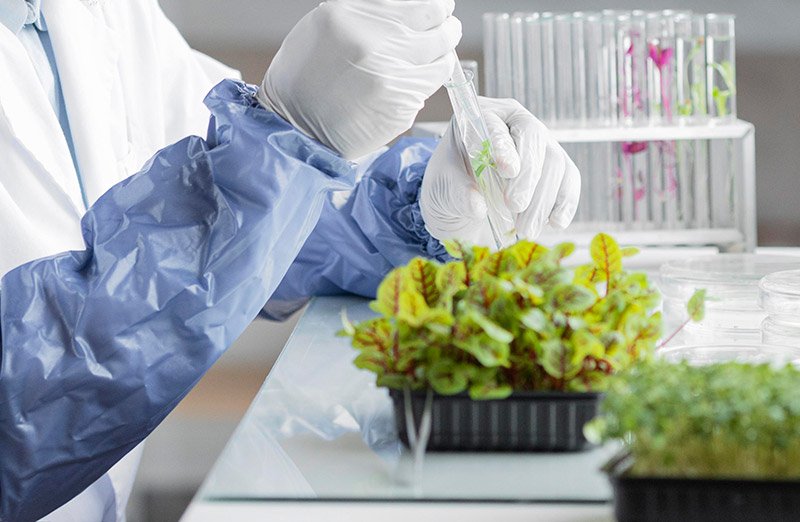 Perché eseguire la micropropagazione delle piante in modo automatizzato? 2 raypa preparador de medios de cultivo micropropagacion muestreo Perché eseguire la micropropagazione delle piante in modo automatizzato?