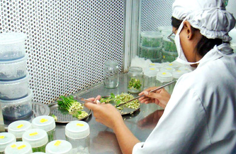 Culture media preparator: Oriental Aquarium case study.