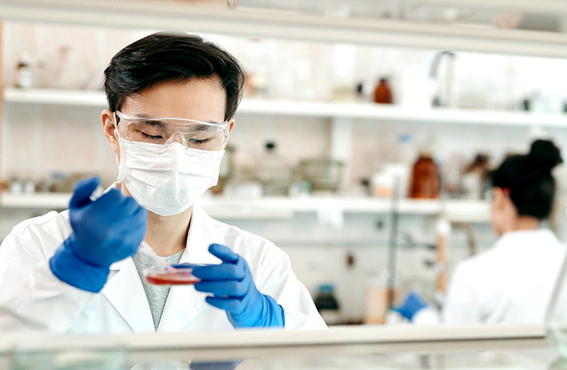 Trabajo manual con medios de cultivo en microbiología
